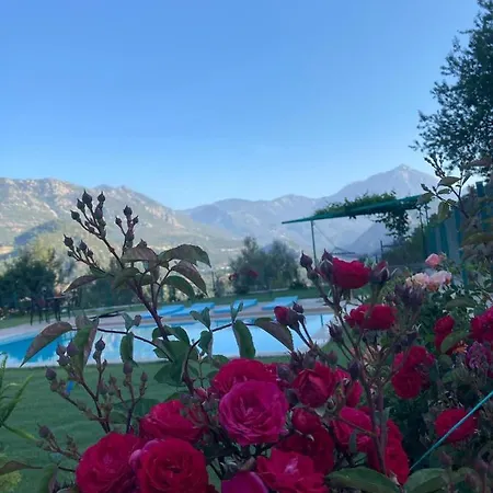 Olymposzaray Apartment Kumluca