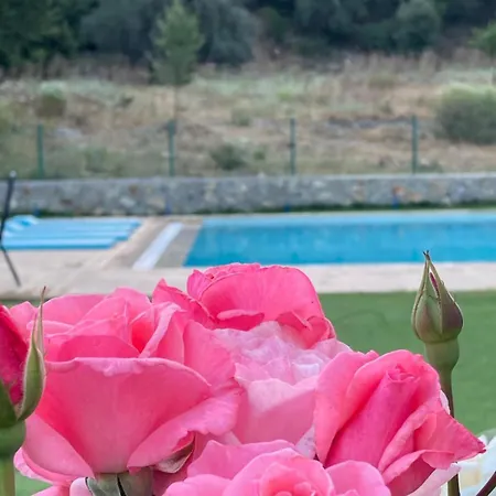 Olymposzaray