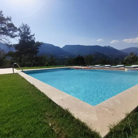 Olymposzaray