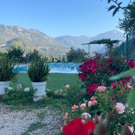 Apartment Olymposzaray