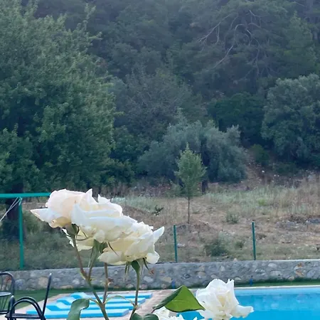 Apartment Olymposzaray Kumluca