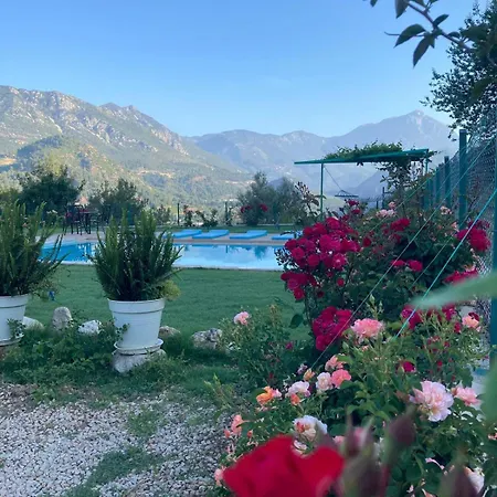 Olymposzaray * Kumluca